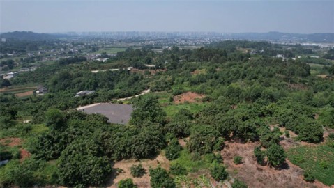 日职乙山口雷法主场0-2不敌冈山绿雉 客队延续交锋碾压